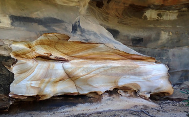 P3180408a.jpg